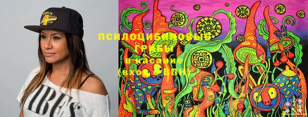 spice Горняк
