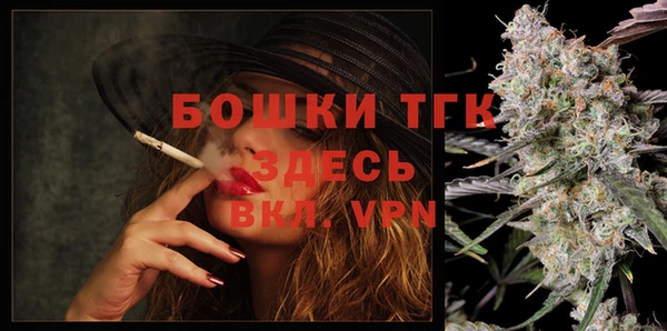 spice Горняк