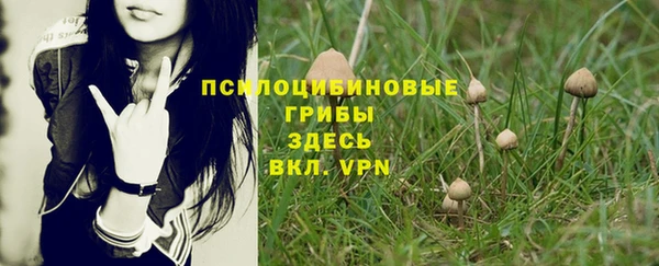 spice Горняк