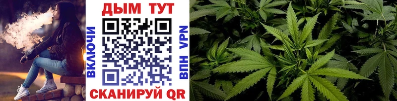 Шишки марихуана SATIVA & INDICA  Новочебоксарск 